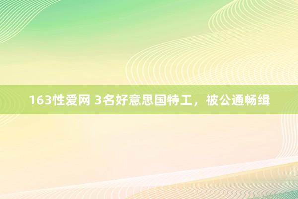 163性爱网 3名好意思国特工，被公通畅缉
