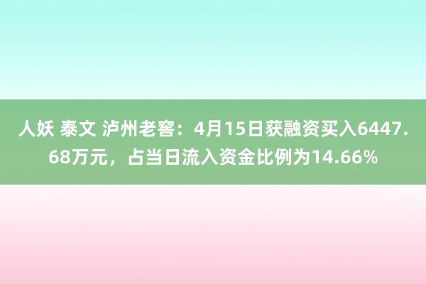 人妖 泰文 泸州老窖：4月15日获融资买入6447.68万元，占当日流入资金比例为14.66%