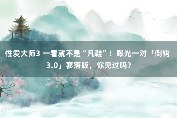 性爱大师3 一看就不是“凡鞋”！曝光一对「倒钩 3.0」寥落版，你见过吗？