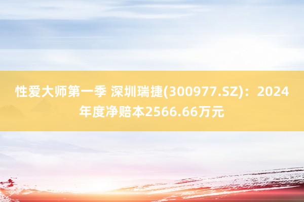 性爱大师第一季 深圳瑞捷(300977.SZ)：2024年度净赔本2566.66万元