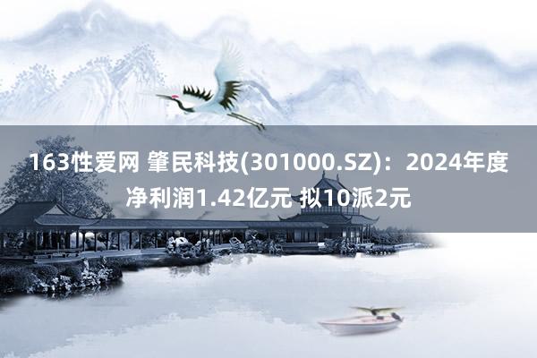 163性爱网 肇民科技(301000.SZ)：2024年度净利润1.42亿元 拟10派2元