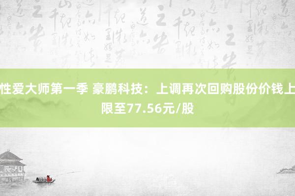 性爱大师第一季 豪鹏科技：上调再次回购股份价钱上限至77.56元/股