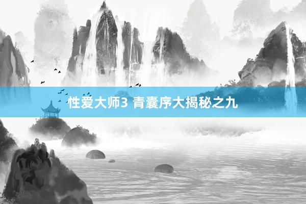 性爱大师3 青囊序大揭秘之九
