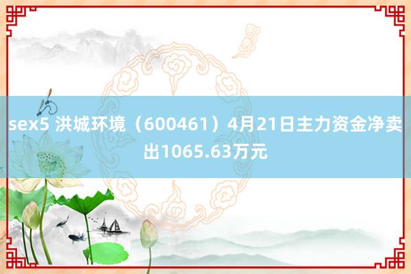 sex5 洪城环境（600461）4月21日主力资金净卖出1065.63万元