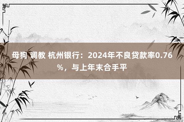 母狗 调教 杭州银行：2024年不良贷款率0.76%，与上年末合手平